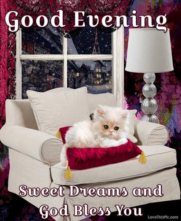 Good Evening Sweet Dreams And God Bless Image With A Cute Kitten