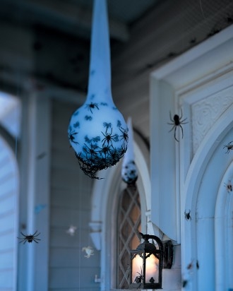 Spider Egg Sac