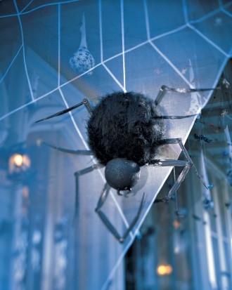 Spider Sentry Spider Sentry
