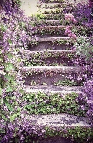 Floral garen steps