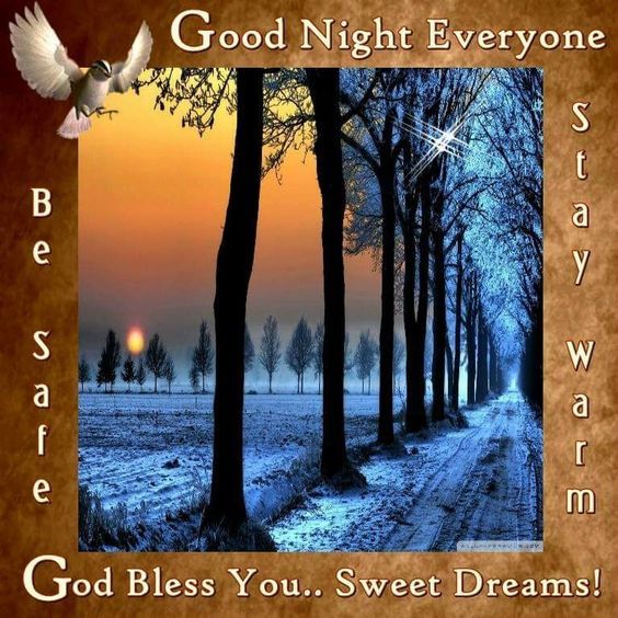 Good Night Everyone Pictures, Photos, and Images for Facebook, Tumblr