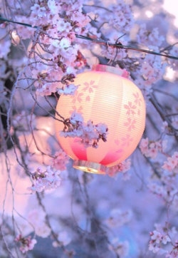 Lantern