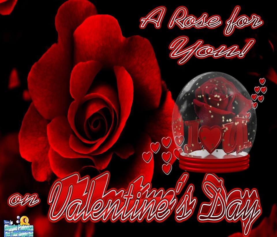 A Rose For You Pictures, Photos, and Images for Facebook, Tumblr