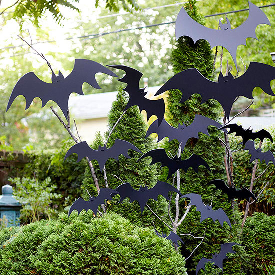 Flying Bat Display