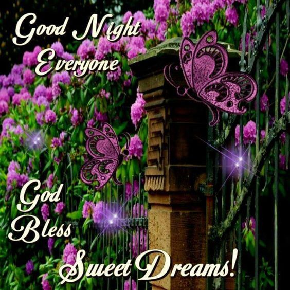 Good Night Everyone Pictures, Photos, and Images for Facebook, Tumblr, Pinterest, and Twitter