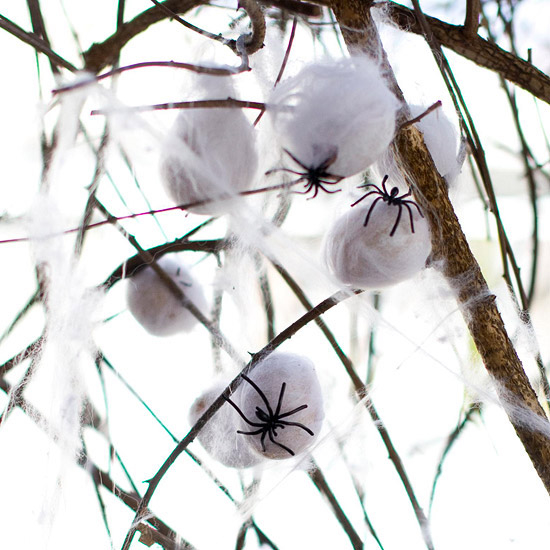 Spiderweb tree