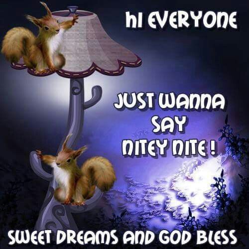 Hi Everyone, Just Wanna Say Nitey Nite! Pictures, Photos, and Images
