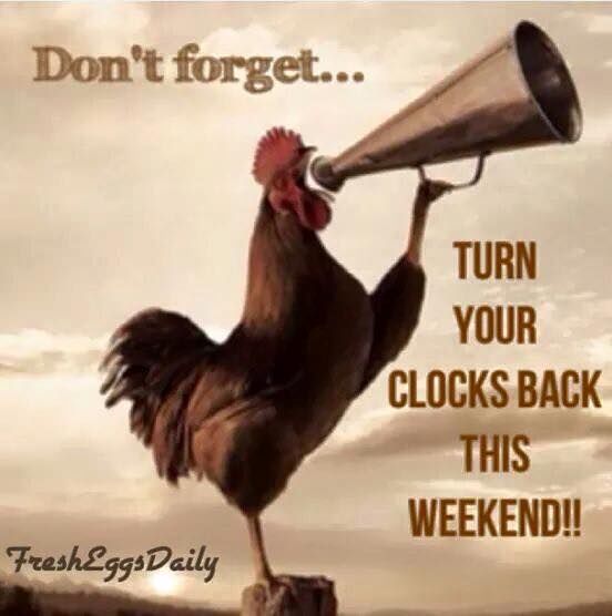 Turn Your Clocks Back This Weekend!! Pictures, Photos, and Images for