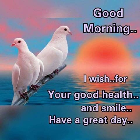 Wishing for good health quotes