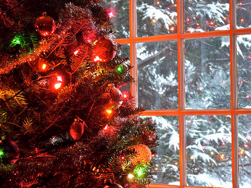 Christmas lights in winter