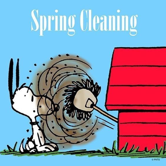 Funny Spring Cleaning