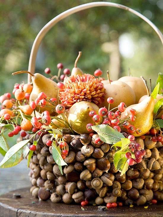 Acorn basket