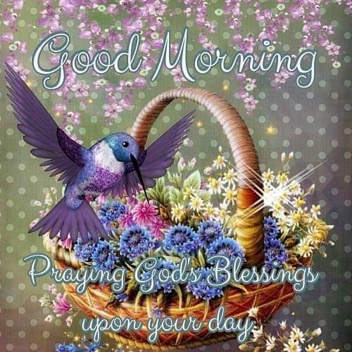 Flying Hummingbird Good Morning God Blessing Pictures, Photos, and