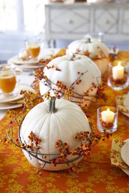 Pumpkin gourds