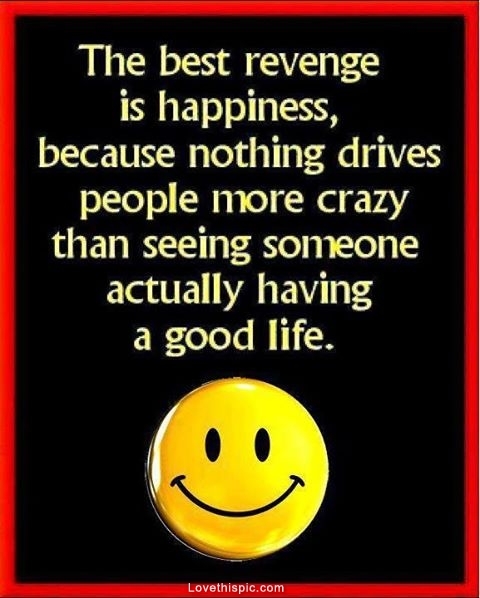 the best revenge is happiness the best revenge is happiness