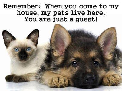 You are just a guest You are just a guest