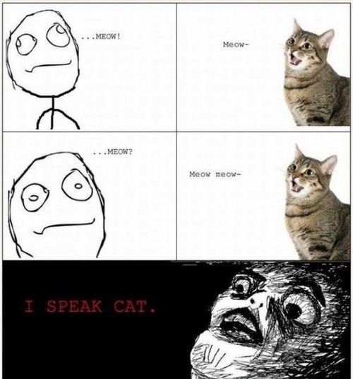 I speak cat I speak cat