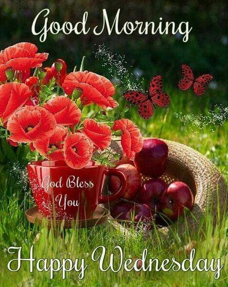 Good Morning Wednesday Pictures Good Morning Happy Wednesday Pictures, Photos, And Images For Facebook,  Tumblr, Pinterest, And Twitter