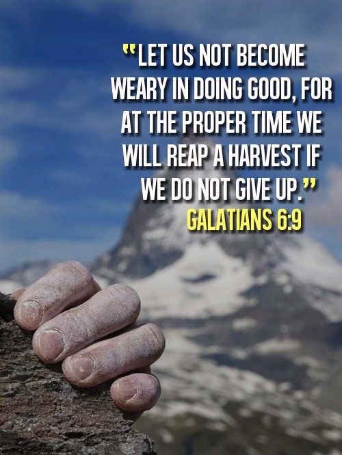 We will reap a harvest if we do not give up