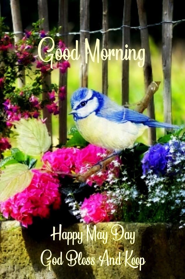 Happy May Day Quotes Good Morning Happy May Day Pictures, Photos, And Images For Facebook,  Tumblr, Pinterest, And Twitter