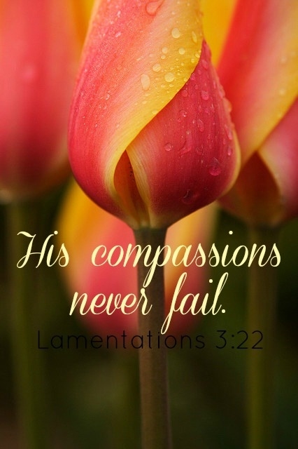 His compassions never fails His compassions never fails