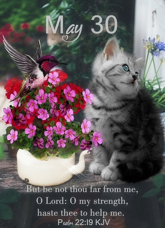 May 30 Pictures, Photos, and Images for Facebook, Tumblr, Pinterest