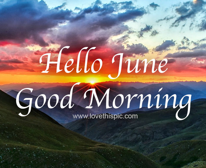 Nature June Morning Landscape Image Pictures, Photos, and Images for