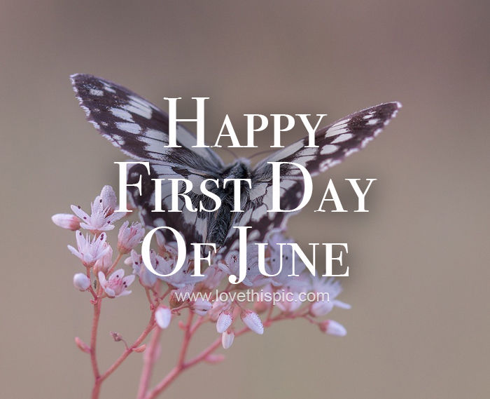 Happy First Day Of June Pictures, Photos, and Images for Facebook