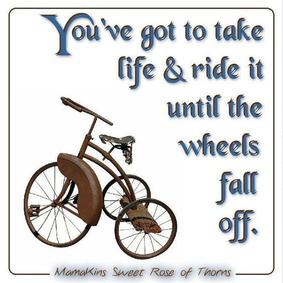 You've Got To Take Life & Ride It Until The Wheels Fall Off Pictures