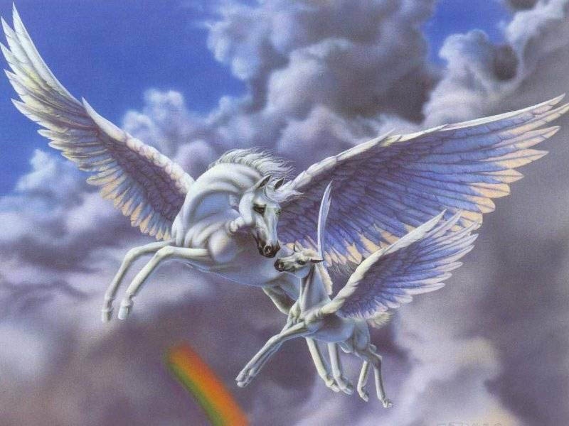 Unicorns