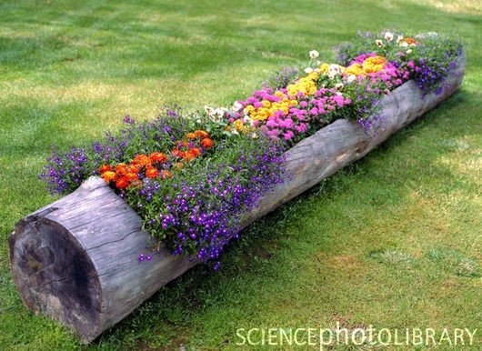 Log Garden