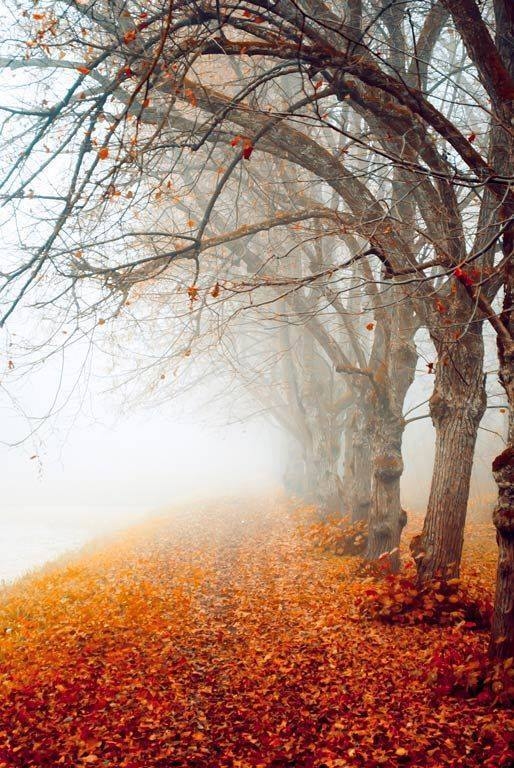 Hazy Fall Day Hazy Fall Day