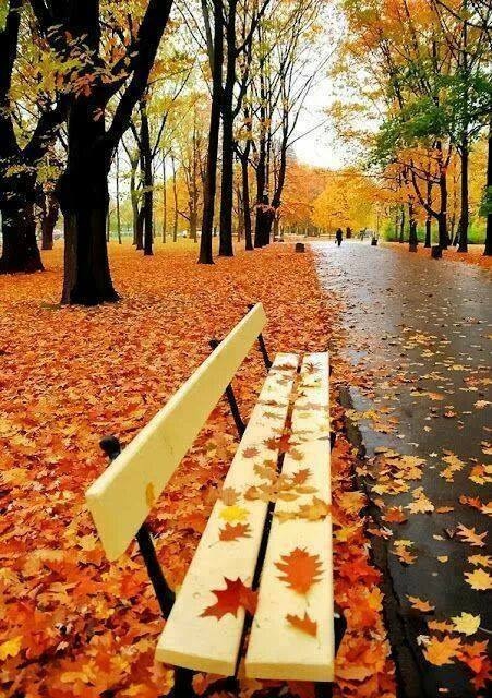 Perfect Fall Day Perfect Fall Day