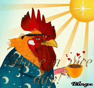 Rooster Sippin Coffee Pictures, Photos, and Images for Facebook, Tumblr ...