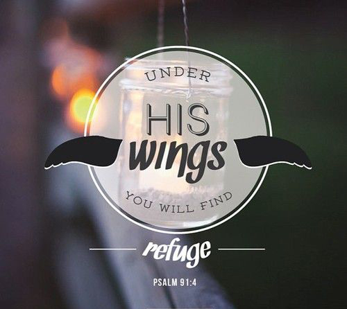 Refuge under his wings Refuge under his wings