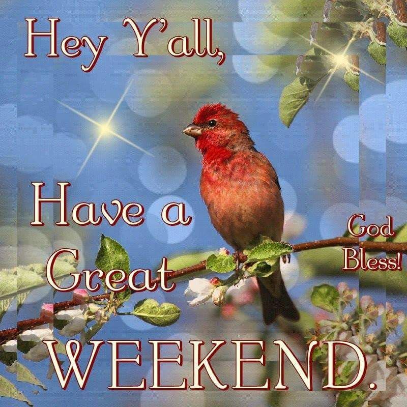 Have A Great Weekend Pictures Photos And Images For Facebook Tumblr