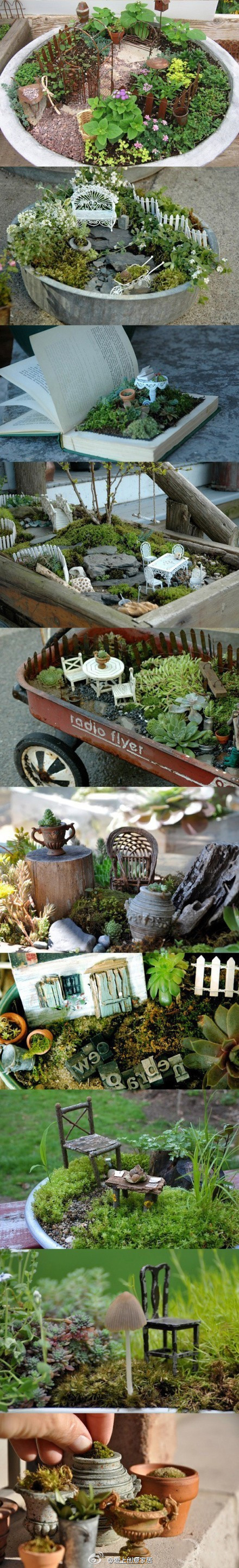 Gardening Ideas