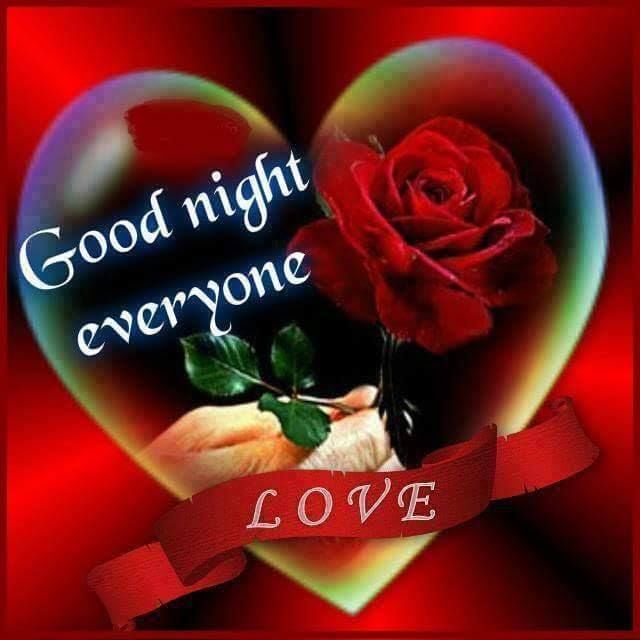 Good Night Everyone Pictures, Photos, and Images for Facebook, Tumblr, Pinterest, and Twitter