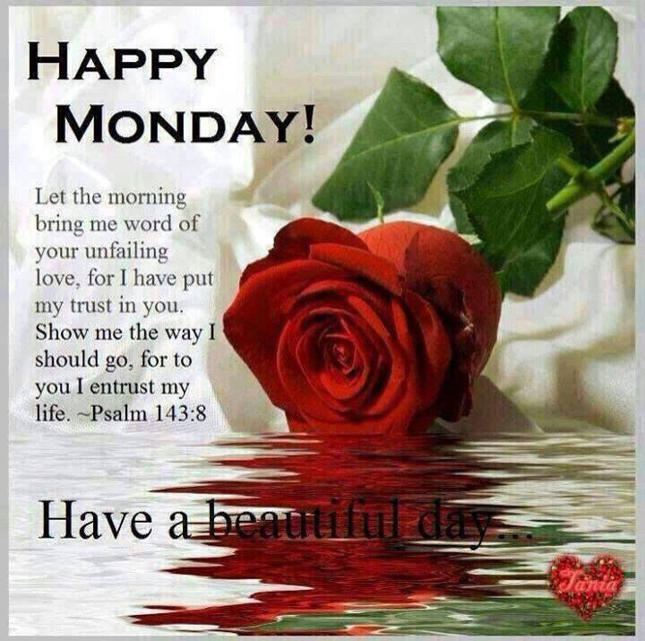 Happy Monday My Love Happy Monday Rose Pictures, Photos, And Images For Facebook, Tumblr,  Pinterest, And Twitter
