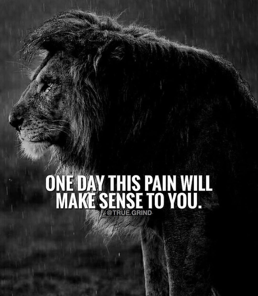 One Day This Pain Will Make Sense To You Pictures Photos And Images For Facebook Tumblr Pinterest And Twitter