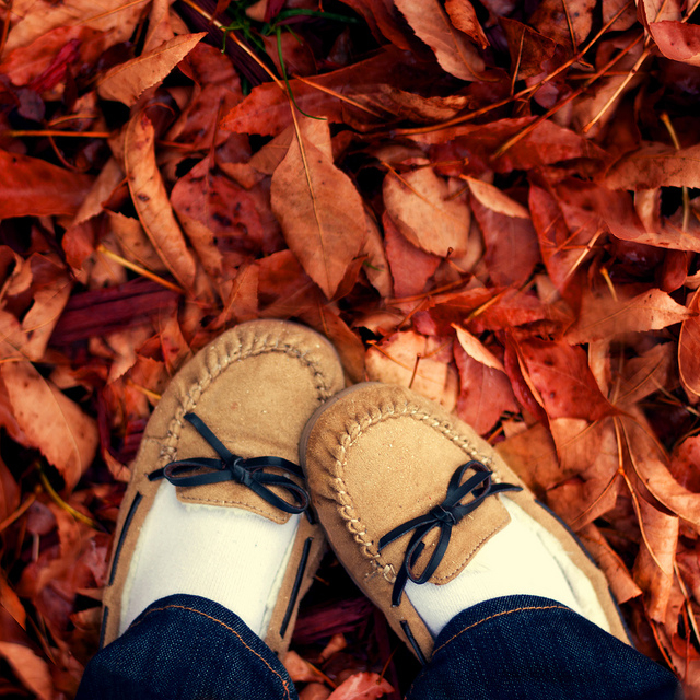 Red autumn leaves
