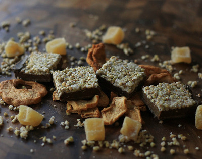 Raw apple gingerbread squares