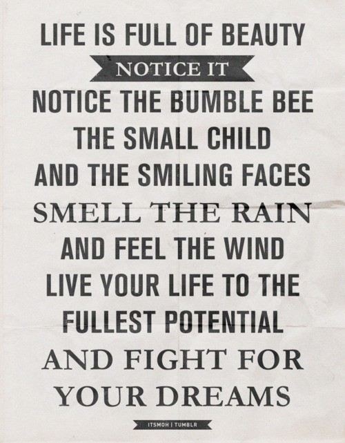 Life is full of beauty