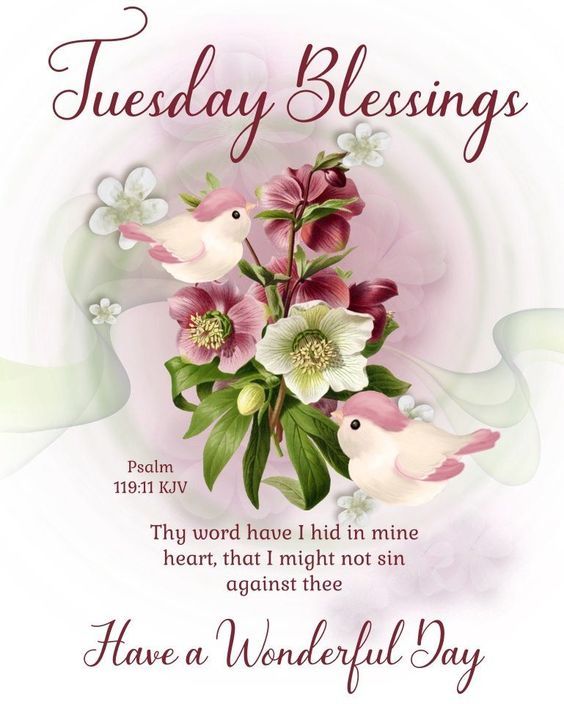 Images Of Tuesday Blessings Wonderful Tuesday Blessing Pictures, Photos, And Images For Facebook,  Tumblr, Pinterest, And Twitter