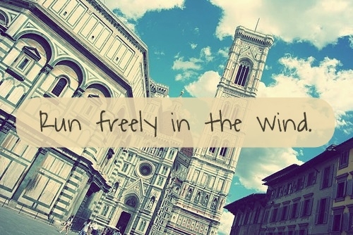 Run freely in the wind Run freely in the wind