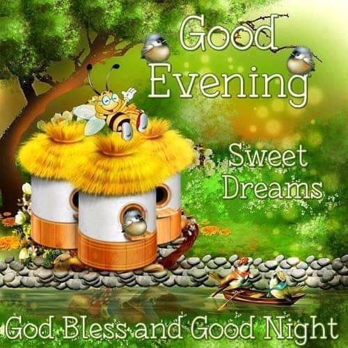 Good Evening Sweet Dreams Pictures Photos And Images For Facebook Tumblr Pinterest And Twitter
