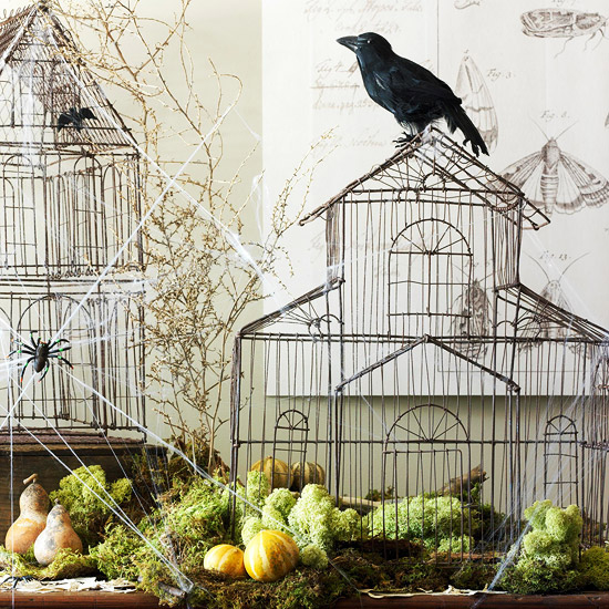 Spooky Cages