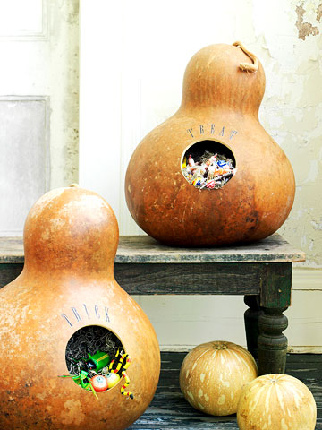 Goody bearing gourds Goody bearing gourds