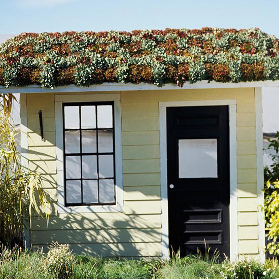 Green roof garden