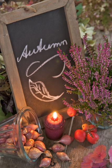 Autumn Autumn